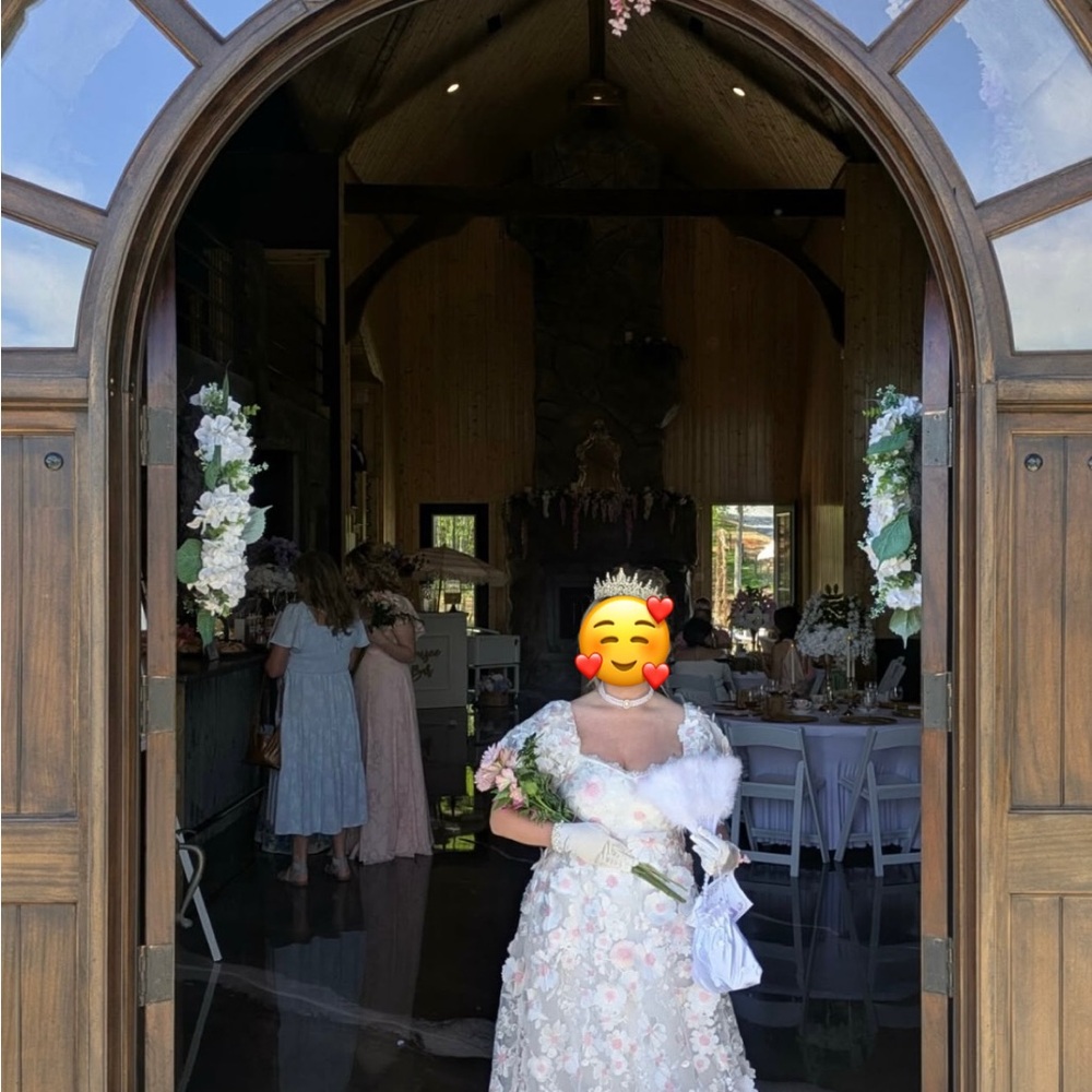 Regency Style Dress/Bridgerton Gown (Ava Gowns- Daphne) - Picture 7 of 10